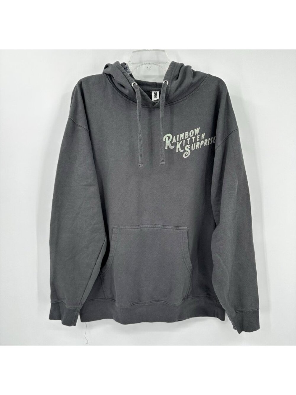 RAINBOW KITTEN SURPRISE hoodie sweatshirt gray XL rose arrows rock merch indie